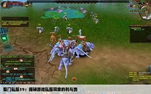 蜀门私服39：揭秘游戏私服现象的利与弊