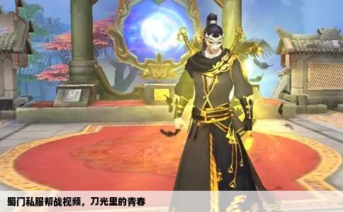 蜀门私服帮战视频，刀光里的青春