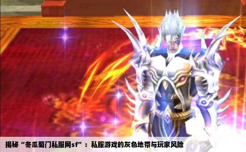 揭秘“冬瓜蜀门私服网sf”：私服游戏的灰色地带与玩家风险