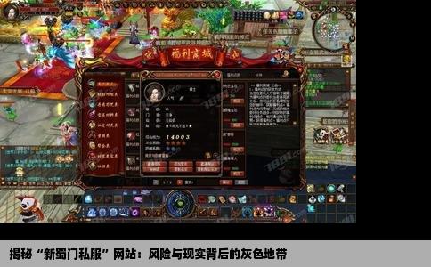 揭秘“新蜀门私服”网站：风险与现实背后的灰色地带