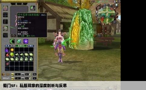蜀门SF：私服现象的深度剖析与反思
