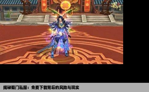 揭秘蜀门私服：免费下载背后的风险与现实