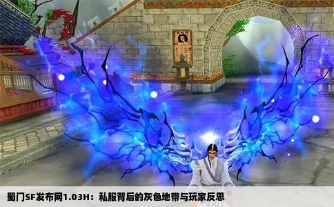 蜀门SF发布网1.03H：私服背后的灰色地带与玩家反思