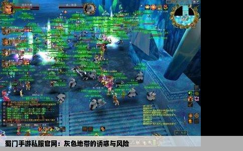 蜀门手游私服官网：灰色地带的诱惑与风险