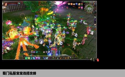 蜀门私服宝宝选择攻略