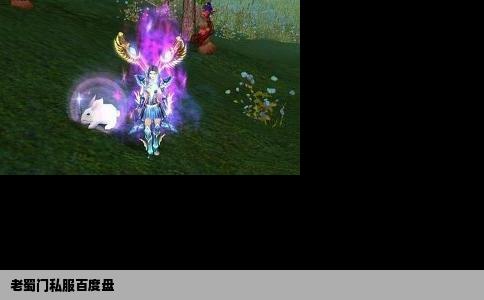 老蜀门私服百度盘